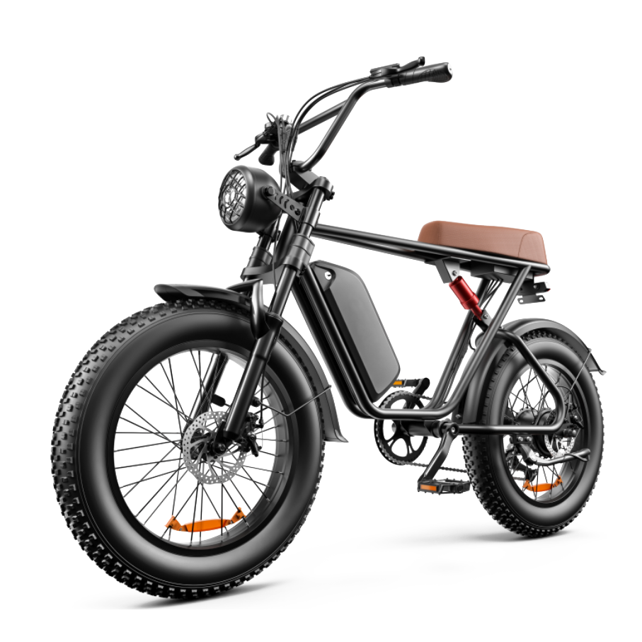 1000 Watt 48V 20Ah Electric Bike